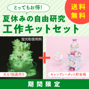 自由研究のため小学生姉妹（10歳、7歳）が挑戦！「光る！結晶づくり