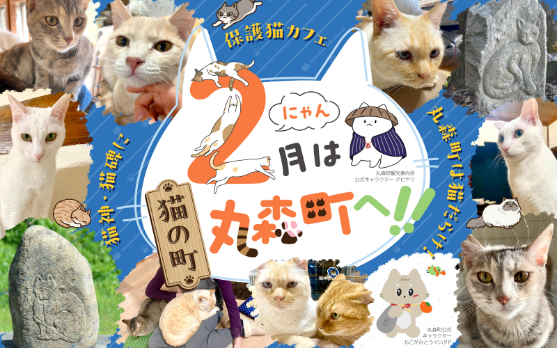 ２月は猫の町丸森町へ！！