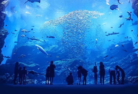 うみ たのしい万葉集: 海(うみ)を詠んだ歌